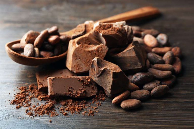 Cokelat: Kelezatan yang Membawa Kebahagiaan dalam Setiap Potong